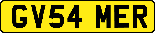 GV54MER