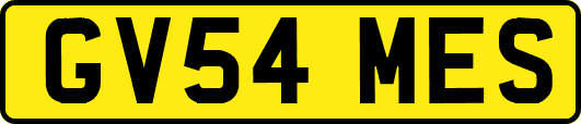 GV54MES