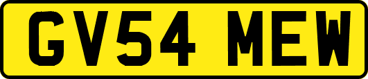 GV54MEW