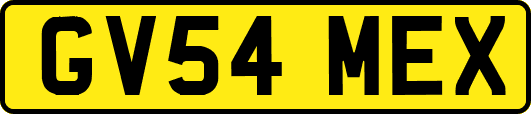 GV54MEX