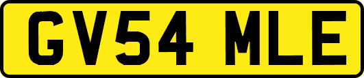 GV54MLE