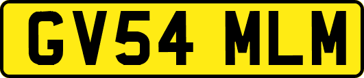 GV54MLM