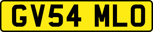 GV54MLO