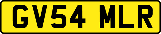 GV54MLR