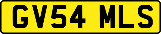 GV54MLS