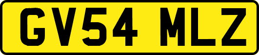 GV54MLZ