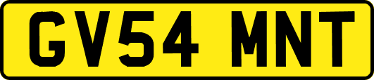 GV54MNT