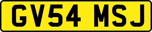 GV54MSJ
