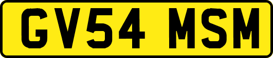 GV54MSM