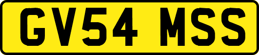 GV54MSS