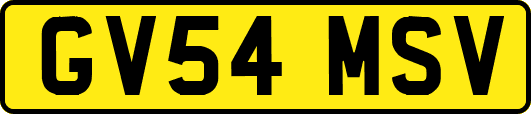 GV54MSV