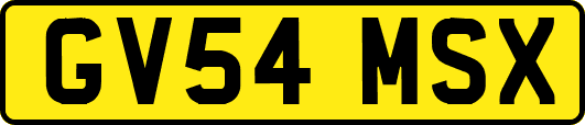 GV54MSX