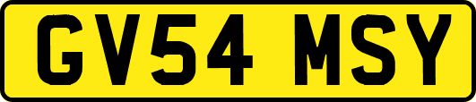 GV54MSY