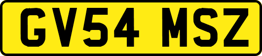 GV54MSZ