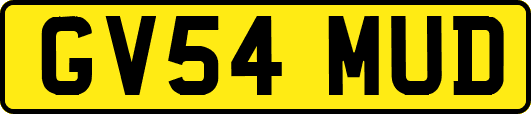 GV54MUD