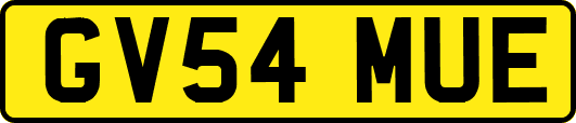 GV54MUE