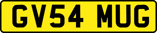 GV54MUG