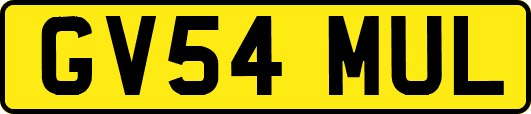 GV54MUL