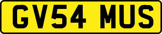 GV54MUS