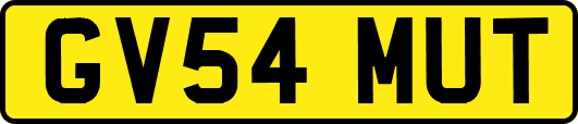 GV54MUT