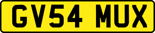 GV54MUX