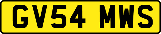 GV54MWS