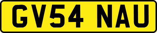 GV54NAU