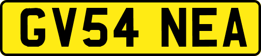 GV54NEA
