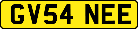 GV54NEE