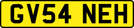 GV54NEH