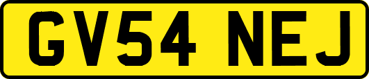 GV54NEJ