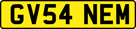GV54NEM