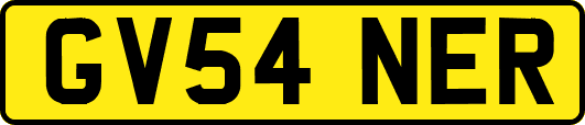 GV54NER