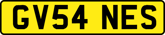 GV54NES