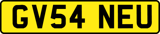 GV54NEU