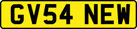 GV54NEW