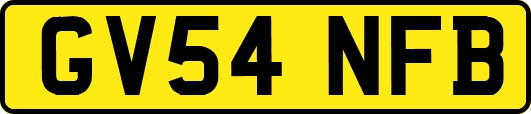 GV54NFB