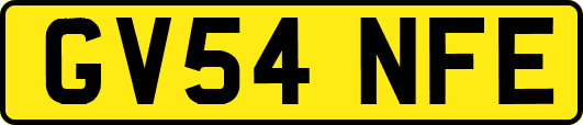 GV54NFE