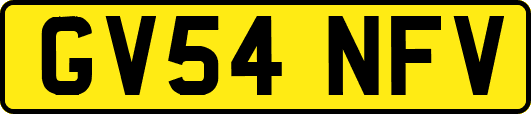 GV54NFV