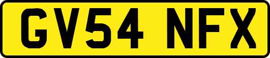 GV54NFX