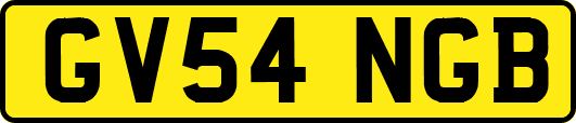 GV54NGB