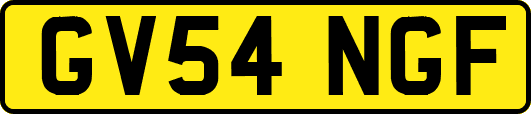 GV54NGF