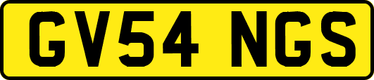 GV54NGS