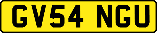 GV54NGU