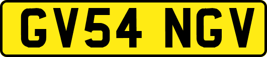 GV54NGV