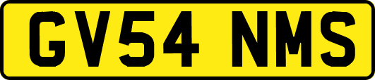 GV54NMS