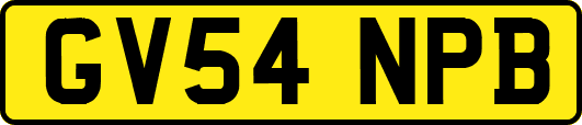 GV54NPB