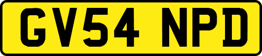 GV54NPD