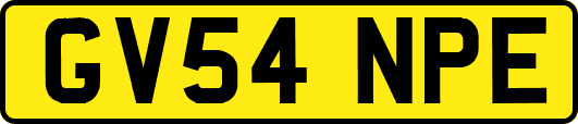 GV54NPE