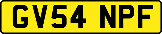 GV54NPF